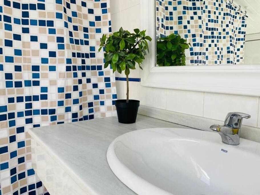Espectacular Atico Con Solarium En Centro Historico Apartment Malaga Ngoại thất bức ảnh